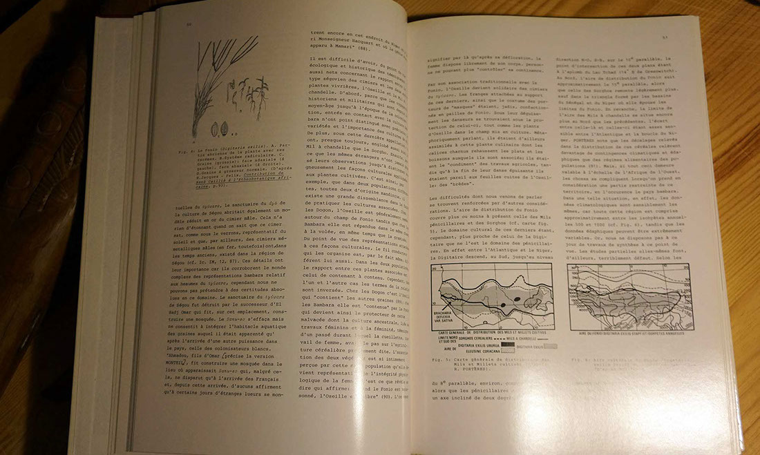 Antilopes du Soleil - Arts et Rites Agraires d'Afrique - Dominique Zahan en vente sur Ebay - Cliquer ici