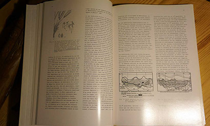 Antilopes du Soleil - Arts et Rites Agraires d'Afrique - Dominique Zahan en vente sur Ebay - Cliquer ici