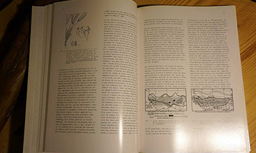 Antilopes du Soleil - Arts et Rites Agraires d'Afrique - Dominique Zahan en vente sur Ebay - Cliquer ici