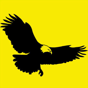 animal totem Tu es un aigle Animal totem visionnaire, que ce soit une vision a court ou a long terme. Tu es capable d'une grande concentration et tu sais prendre du recul.