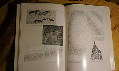 Antilopes du Soleil - Arts et Rites Agraires d'Afrique - Dominique Zahan en vente sur Ebay - Cliquer ici