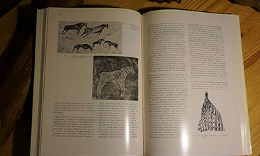 Antilopes du Soleil - Arts et Rites Agraires d'Afrique - Dominique Zahan en vente sur Ebay - Cliquer ici