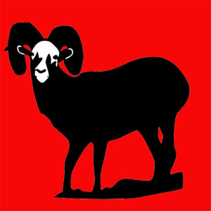 animal totem Tu es un mouflon Animal totem sauvage mais très sociable. Tu aimes vivre en altitude loin du tumulte et former des petits clans. Tu es obstiné et rebelle.