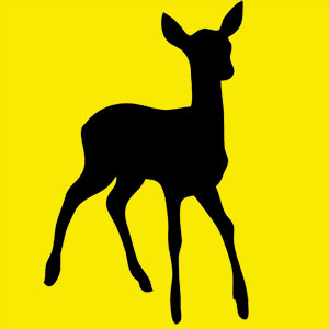 animal totem biche Animal totem sensible et intuitif, tu as un lien fort avec ton enfant intérieur. tu as la possibilité de te mouvoir facilement dans la vie avec