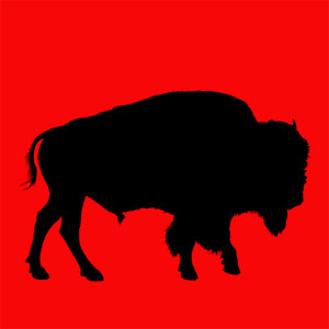 animal totem bison Animal totem représentant l'abondance, la puissance et une grande sagesse. Tu es capable de bouger très vite, t'as vocation est le partage et la