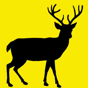 animal totem cerf Animal totem doux et intuitif. Ta force et ta grâce te permettent de défier le monde. Ta détermination est sans faille. Tu as bon cœur et tu es