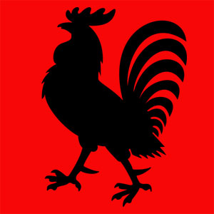 animal totem coq Animal totem protecteur gardien de la vie. Tu incarnes le courage et l'intelligence. T'as fierté et ta bravoure n'ont pas de limite.