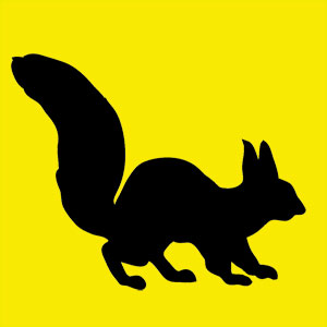 mon animal totem écureuil Animal totem prévoyant et joyeux. Tu aimes cacher des choses mais parfois tu ne les retrouves pas. Tu  es plein de vitalité, sociable