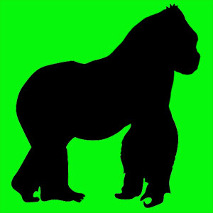 mon animal totem gorille Animal totem noble et puissant. Tu es une personne tranquille et pacifique. Tu te sens responsable et tu aimes protéger tes proches.