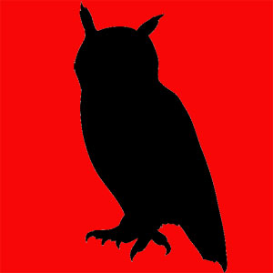 animal totem le hibou Animal totem élégant et subtile Tu es capable de percevoir ce qui est invisible aux autres. En amour tu es un passionné... Tes propos retiennent