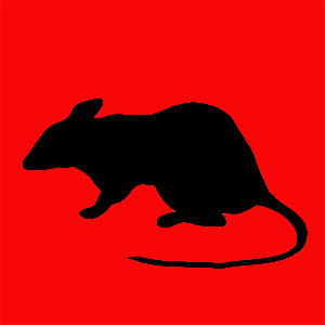 mon animal totem le rat Animal totem qui apporte la chance la richesse et le succès Tu aimes bien prévoir le temps, tu fais face à tous les défis et tu es persévérant.