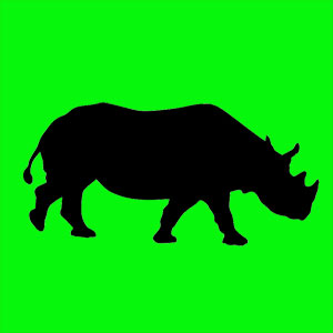 mon animal totem le rhinocéros Animal totem doué d'une force instinctuelle. Tu fonces et tu réfléchis après. Tu es perspicace et tu as beaucoup d'intuition. Brut de pomme.