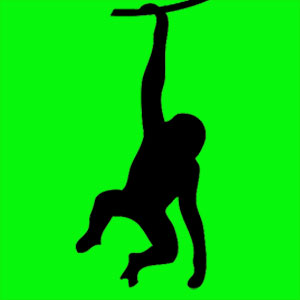 mon animal totem tu es un singe Animal totem positif et joueur. Tu aimes créer et tu es très inventif. Tu es fier de toi mais tu te prends jamais au sérieux. Tu aimes partager