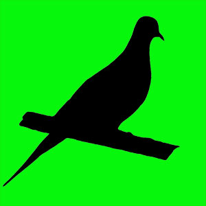 animal totem tourterelle Animal totem des éternels amoureux. Elle annonce toujours de grand changement. Tu es insouciant (e) et un incroyable séducteur (trice)